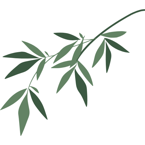 Naturopathie Cherbourg en Cotentin